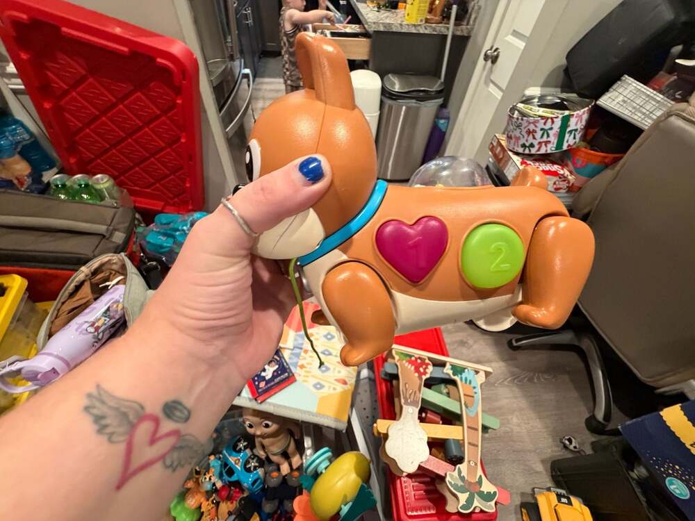 B. toys Interactive Pull-Along Puppy Shape Sorter Toy